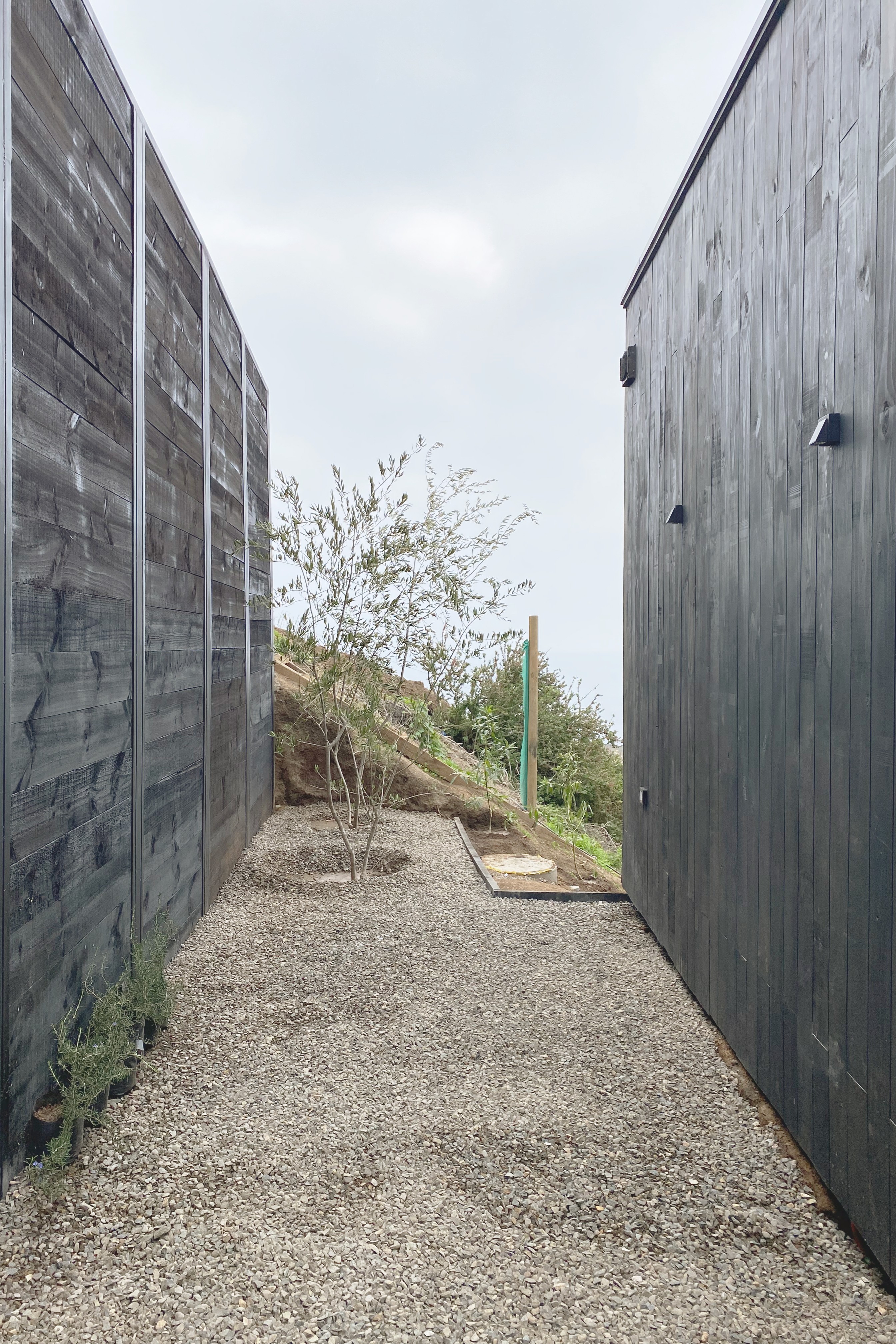 Image 25